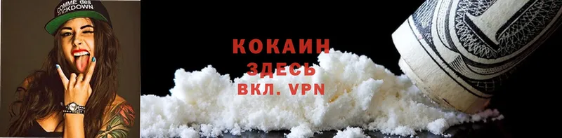 продажа наркотиков  Ветлуга  COCAIN FishScale 